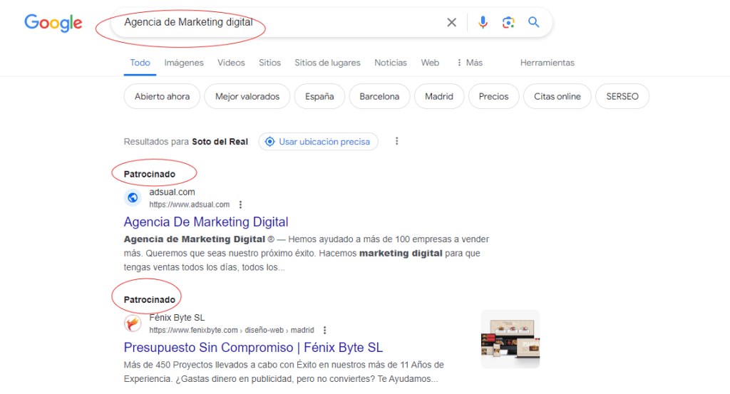 Campaña de busqueda Step Optimizer, creamos tu campaña en Google